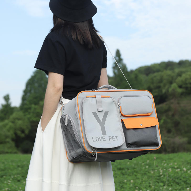 Y-Shaped Cat Backpack