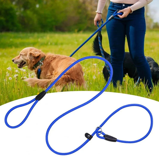 All-in-One P Leash