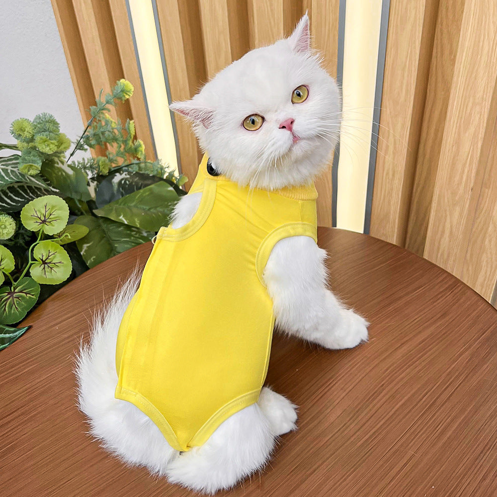 Cat Recovery Suit