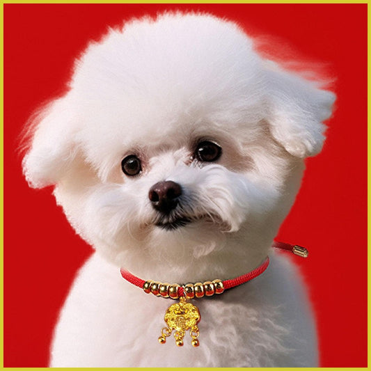 Longevity Lock Pet Collar
