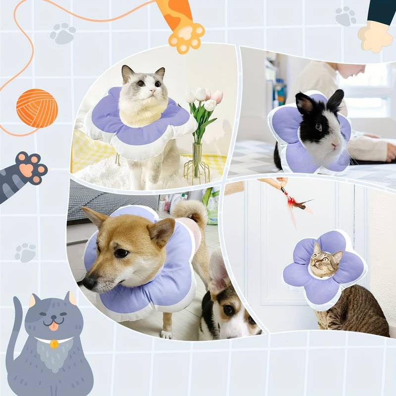 Flower Shape Recovery Pet Collar