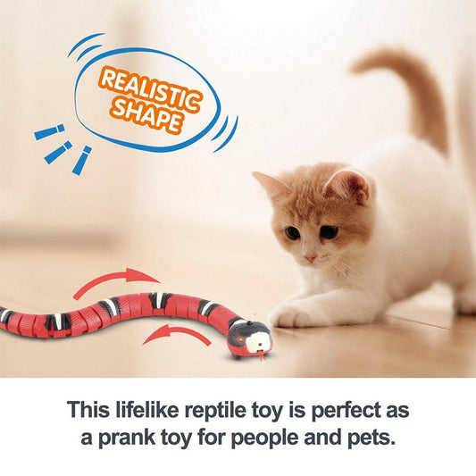 Electric Induction Snake