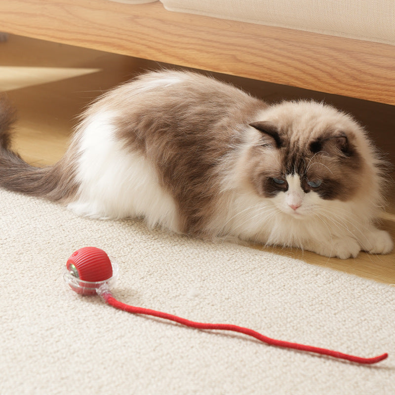 Pet Intelligent Rolling Ball