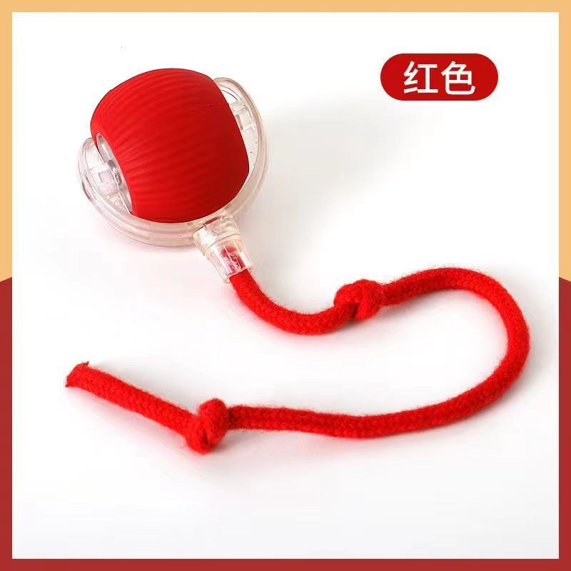 Pet Intelligent Rolling Ball