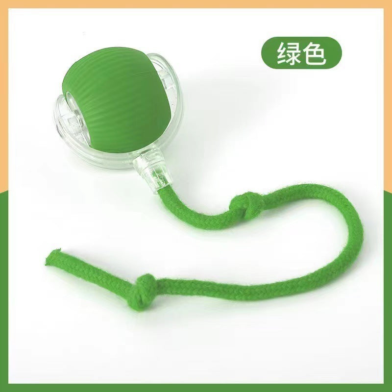 Pet Intelligent Rolling Ball