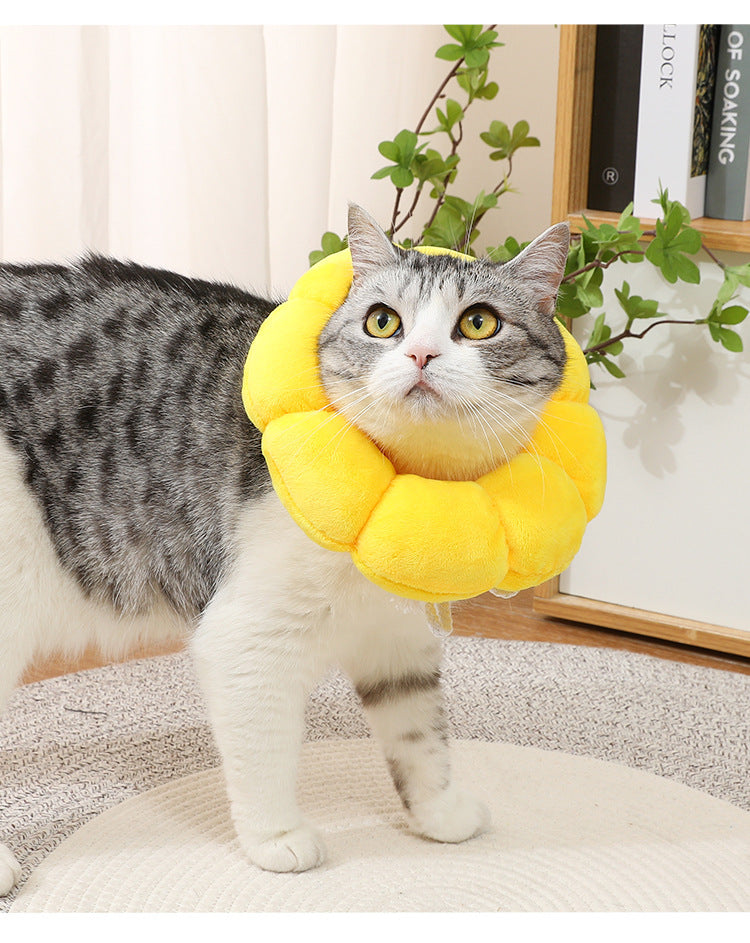 Adjustable Sunflower Recovery Collar