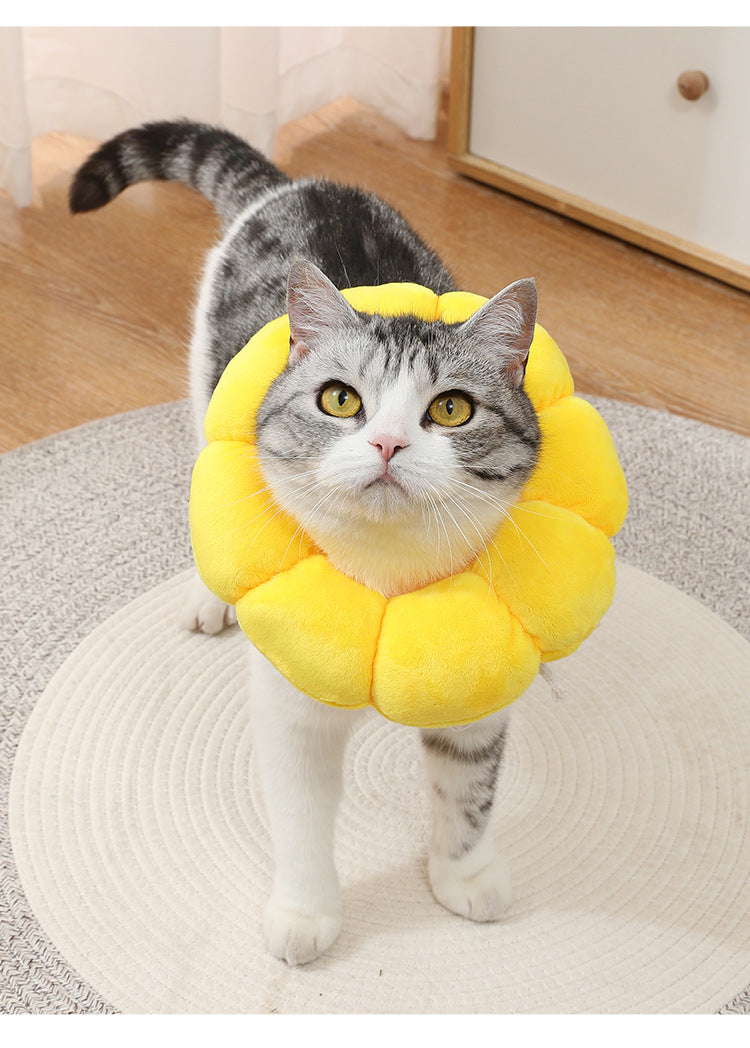 Adjustable Sunflower Recovery Collar