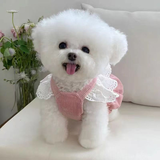 Pet Princess Dress