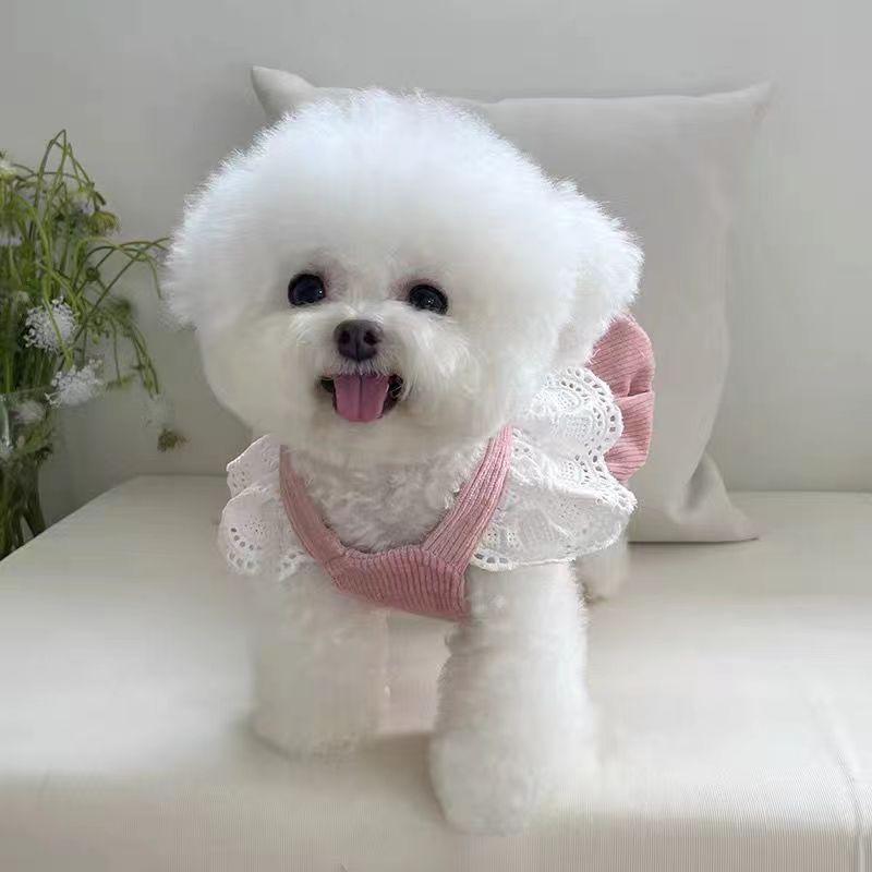 Pet Princess Dress