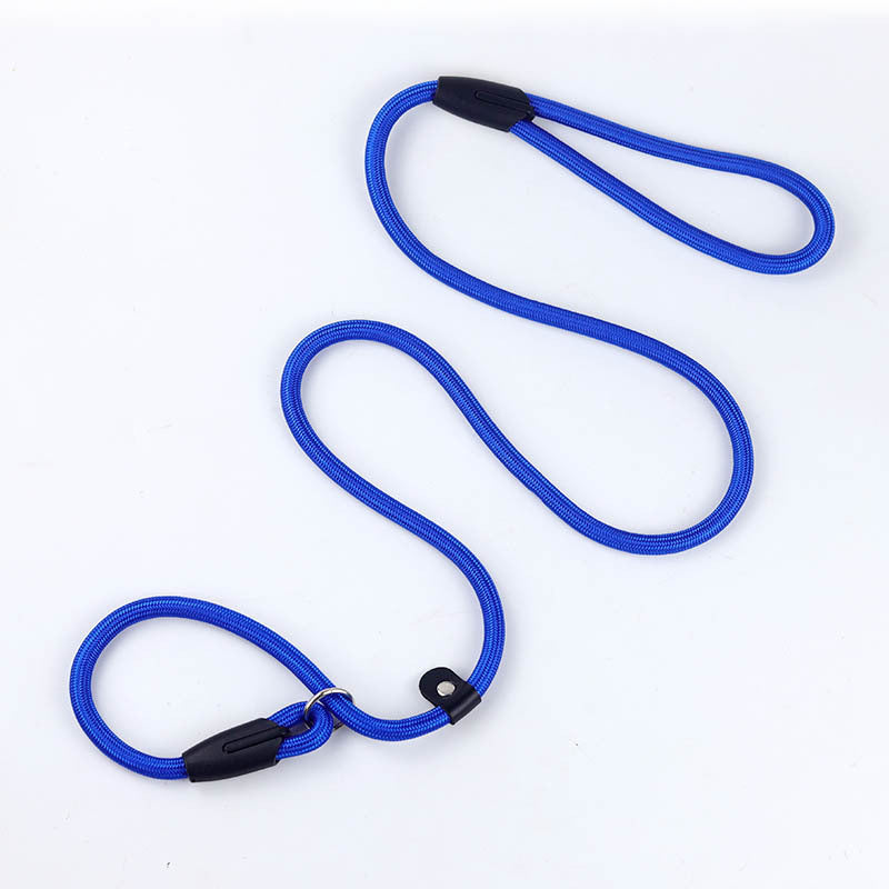 All-in-One P Leash