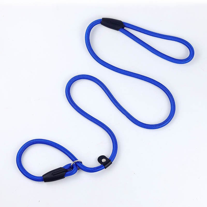 All-in-One P Leash