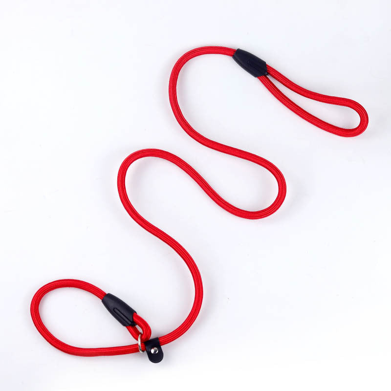 All-in-One P Leash