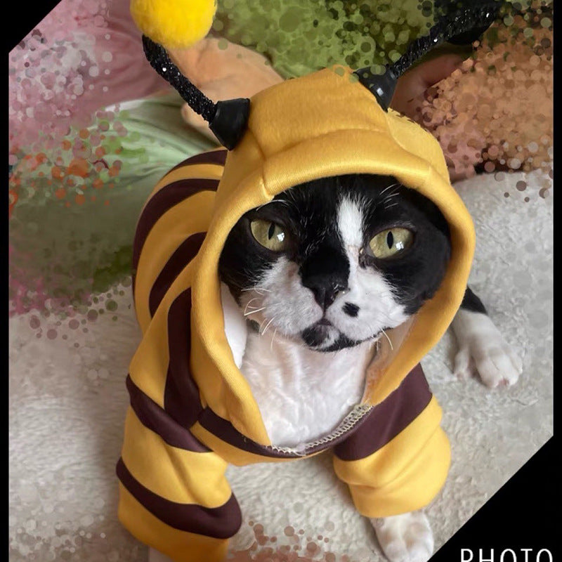 Funny Bee Costume
