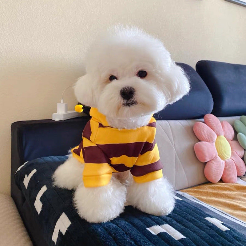 Funny Bee Costume