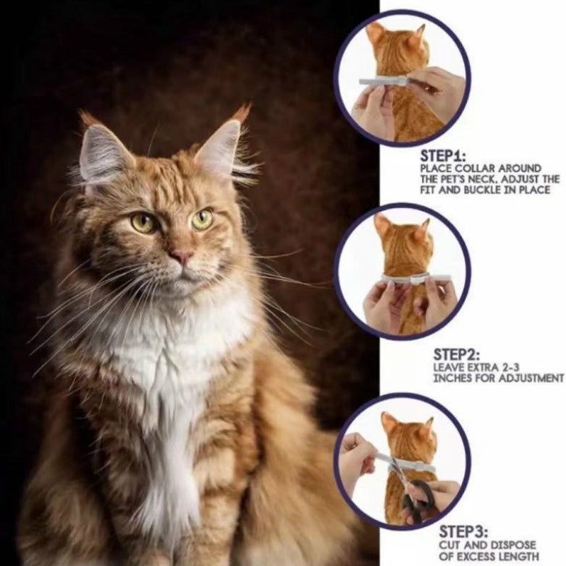 Flea & Tick Collar