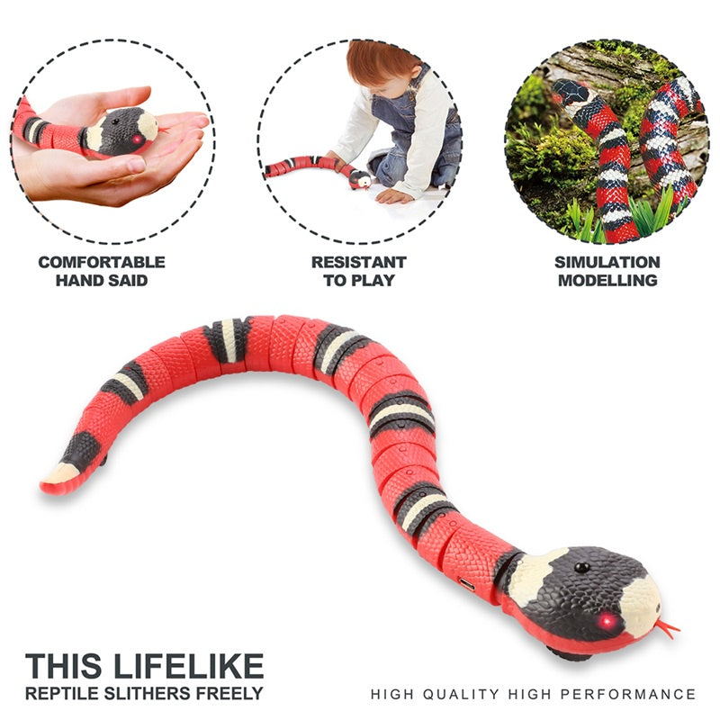 Electric Induction Snake