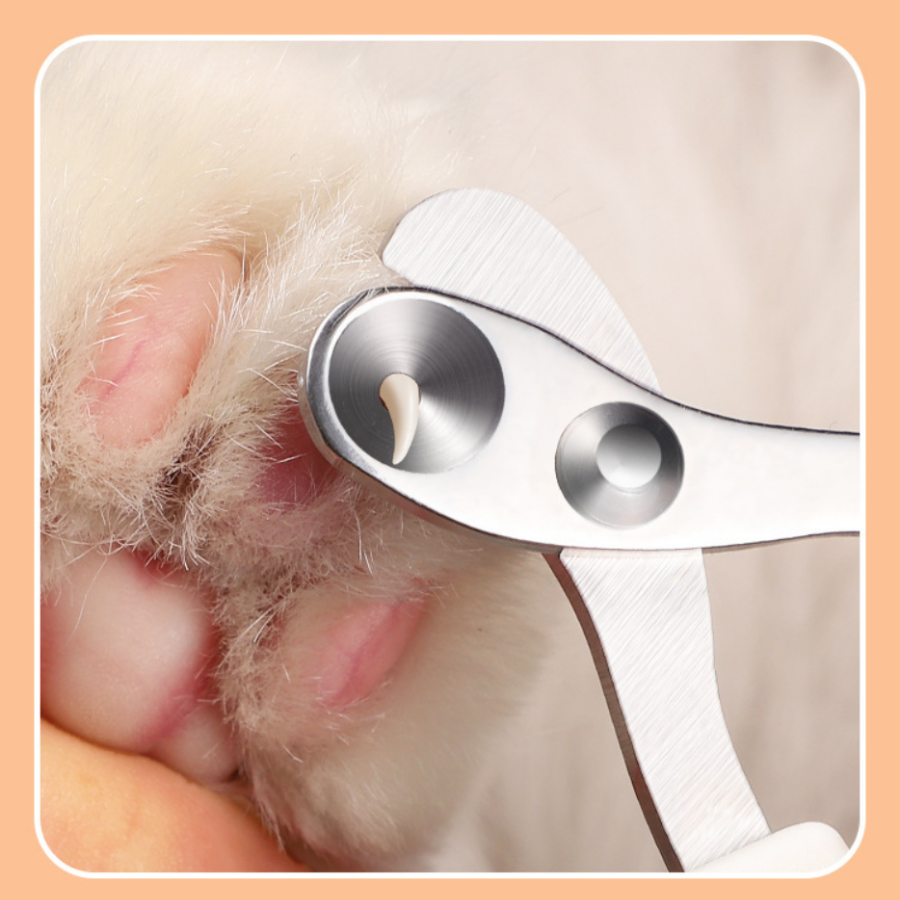 Professional Pet Nail Clippers