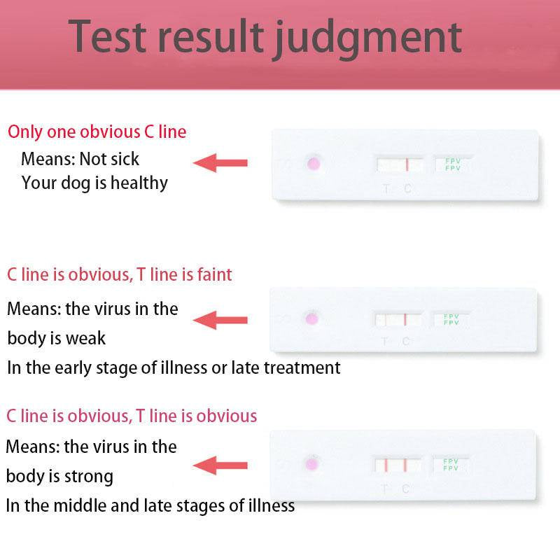 Virus Test Kit