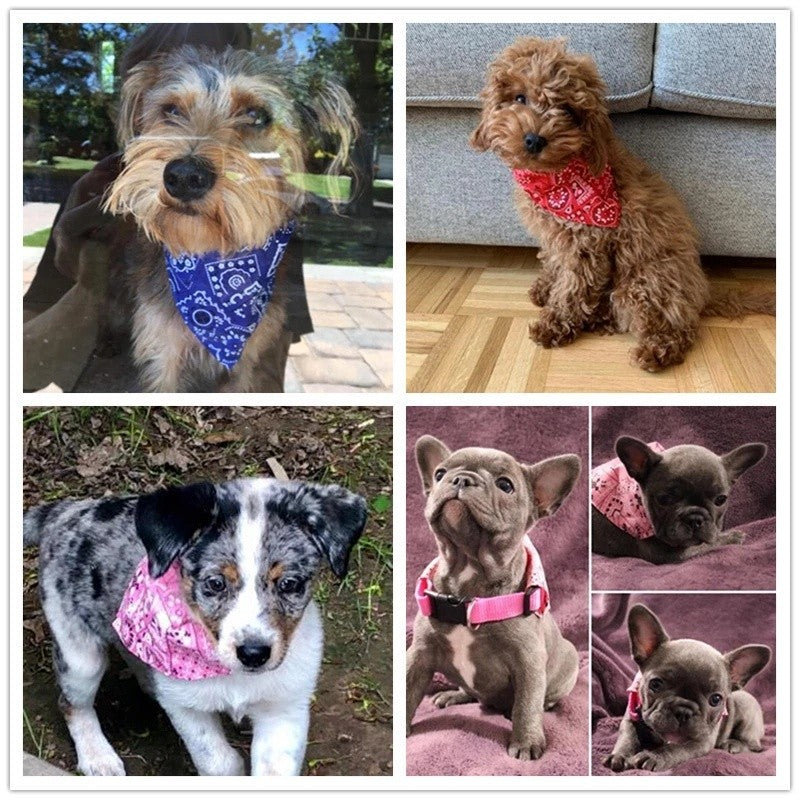 Pet Scarf Collar