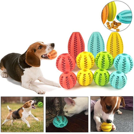 Dog ToothBrush Toys