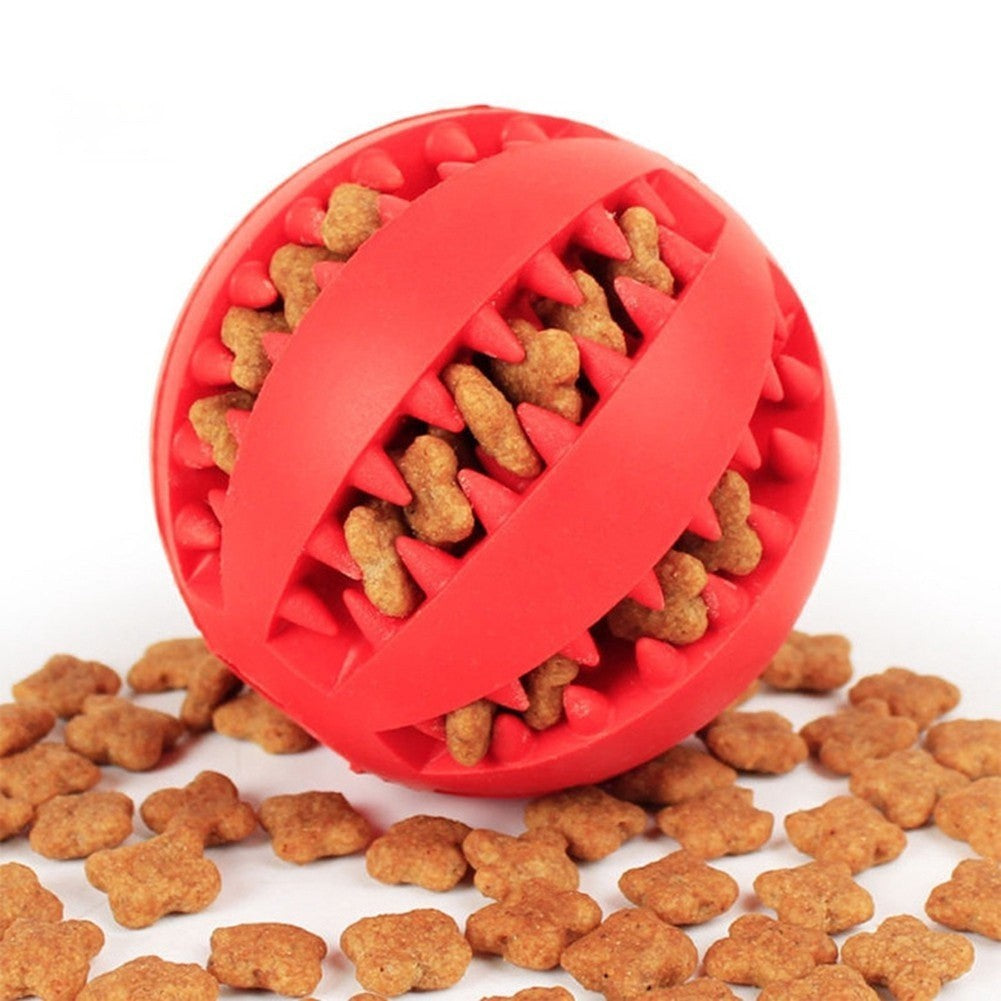 Dog ToothBrush Toys