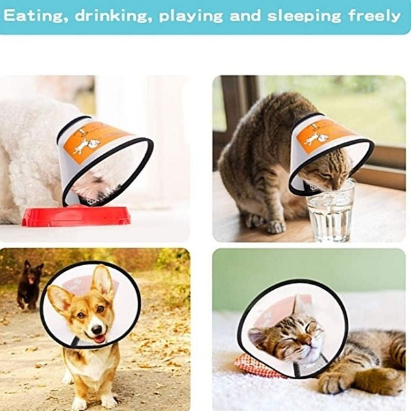 E-Collar