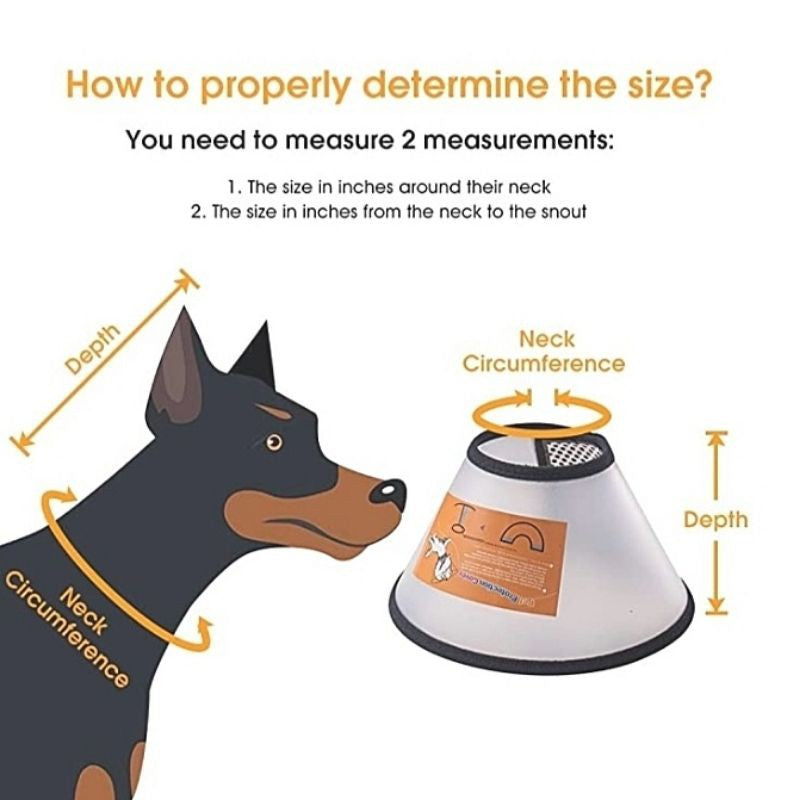 E-Collar