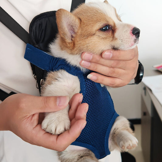Four-Leg Pet Carrier Backpack