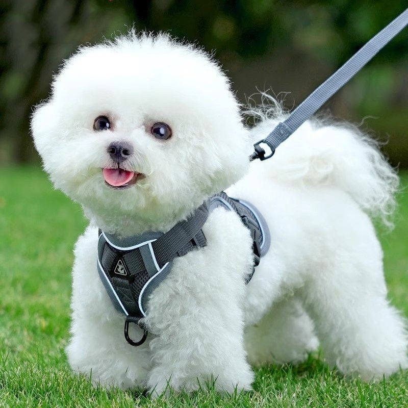 Reflective Vest Harness & Leash