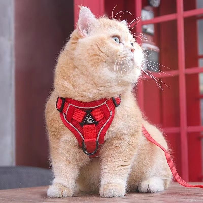 Reflective Vest Harness & Leash