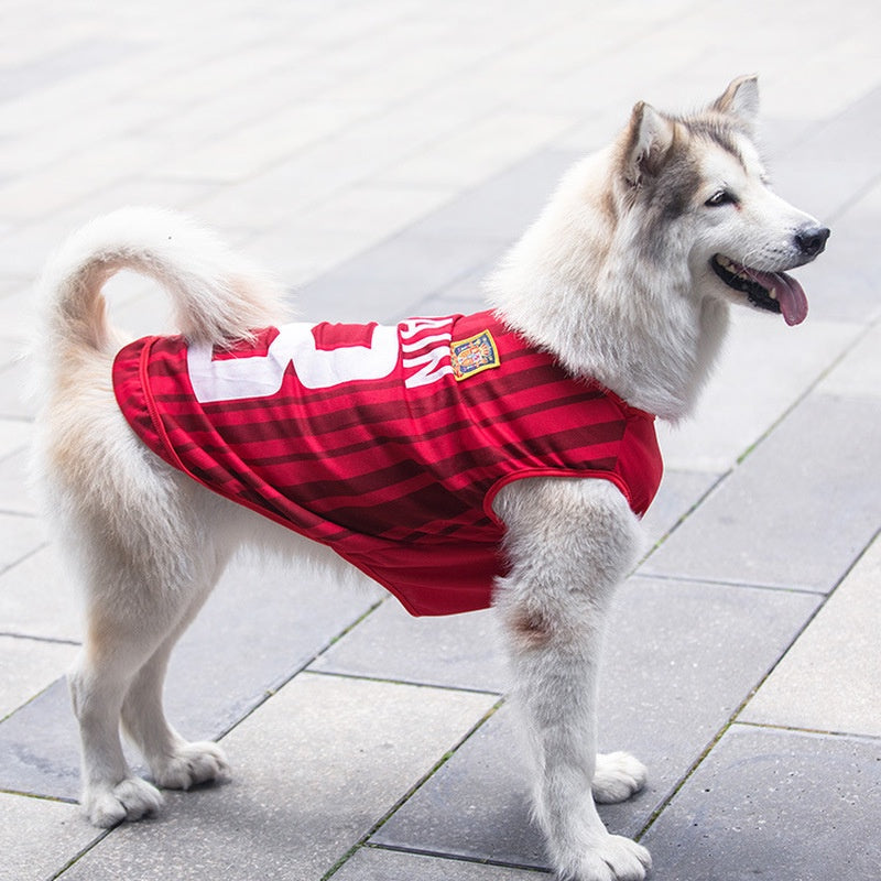 Pet Sports Jersey