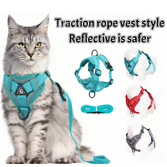 Reflective Vest Harness & Leash