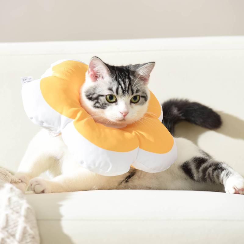 Flower Shape Recovery Pet Collar