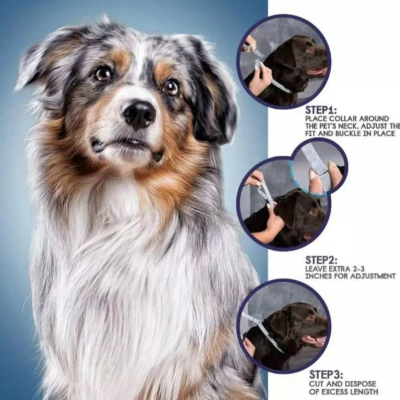 Flea & Tick Collar
