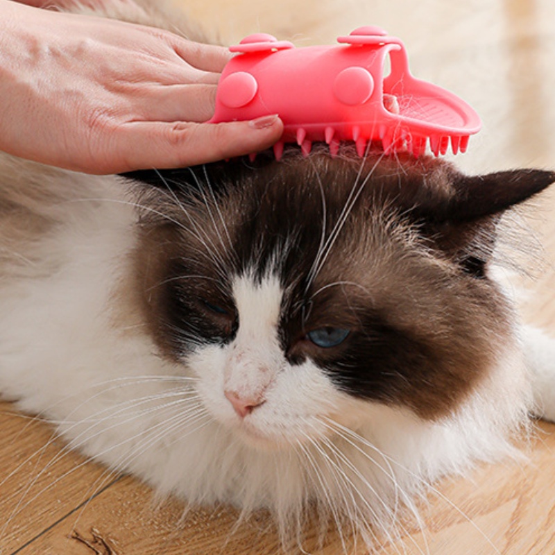 Cat Self-Groomer