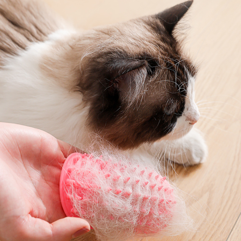 Cat Self-Groomer