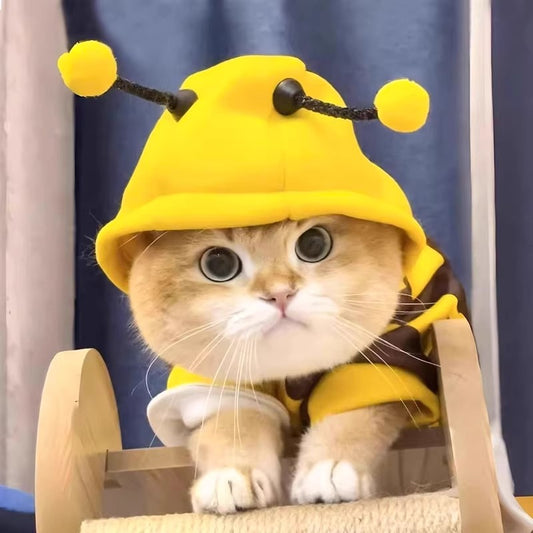 Funny Bee Costume