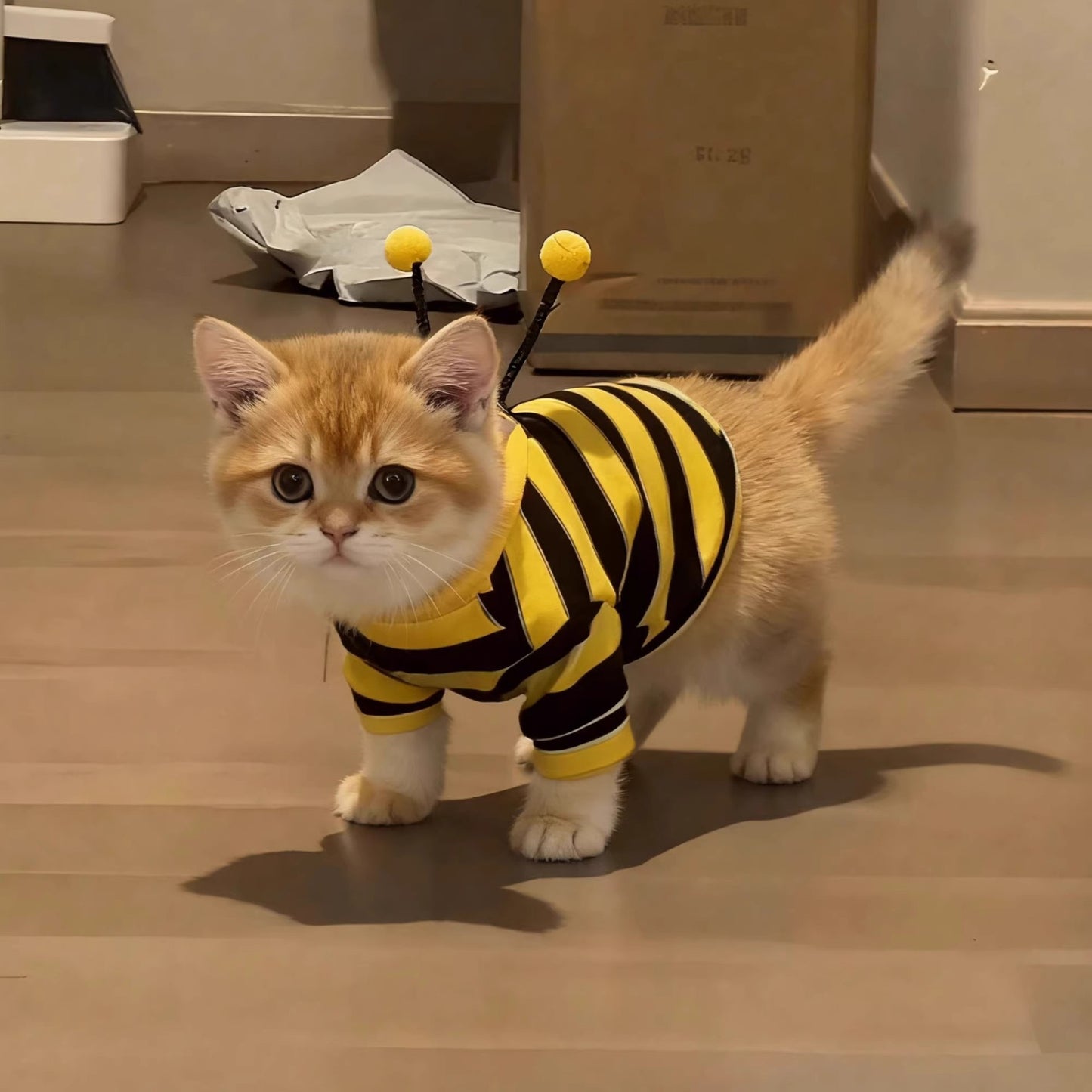 Funny Bee Costume