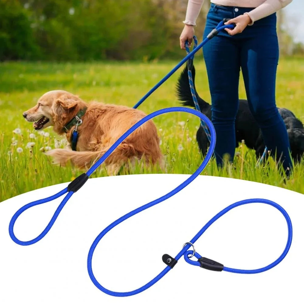 All-in-One P Leash
