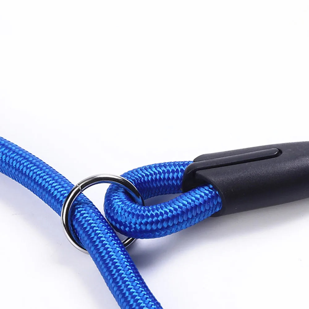 All-in-One P Leash