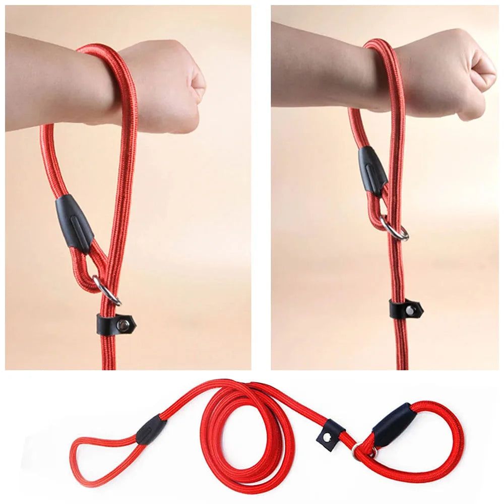 All-in-One P Leash