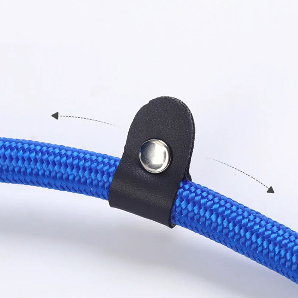 All-in-One P Leash