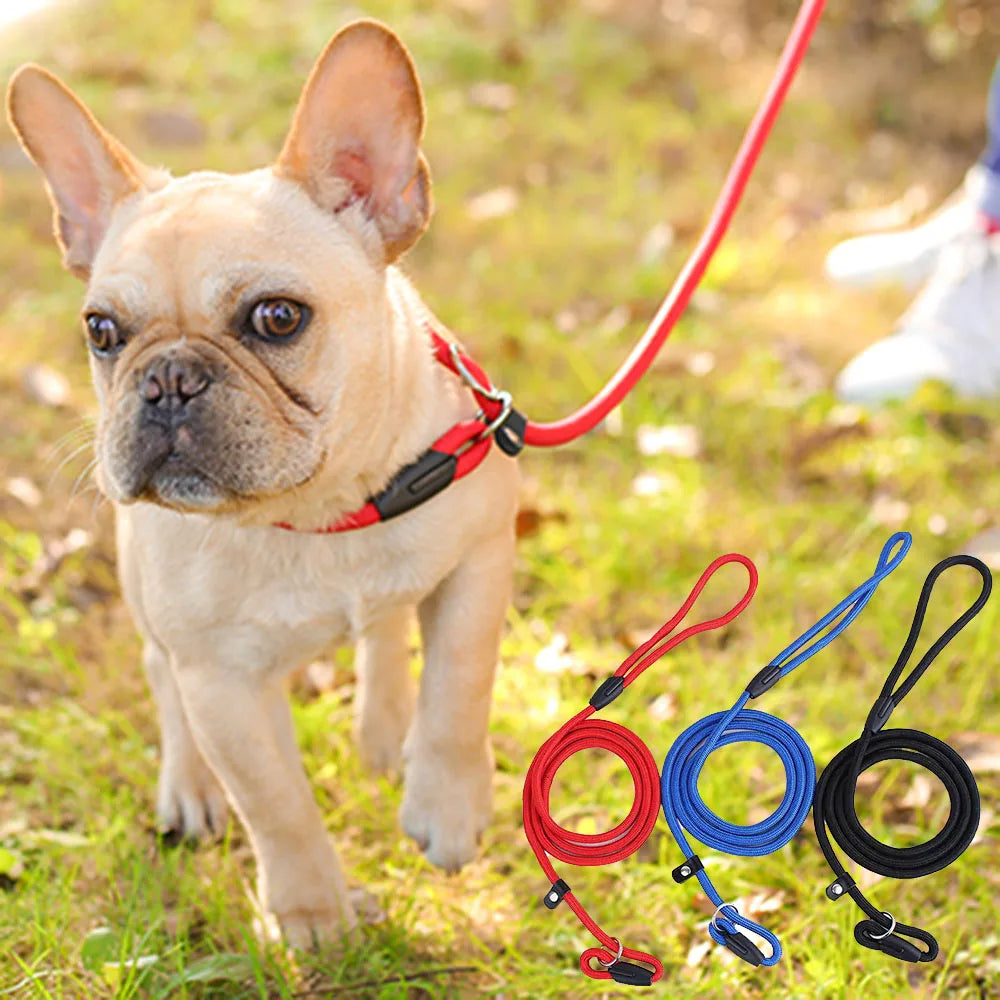 All-in-One P Leash