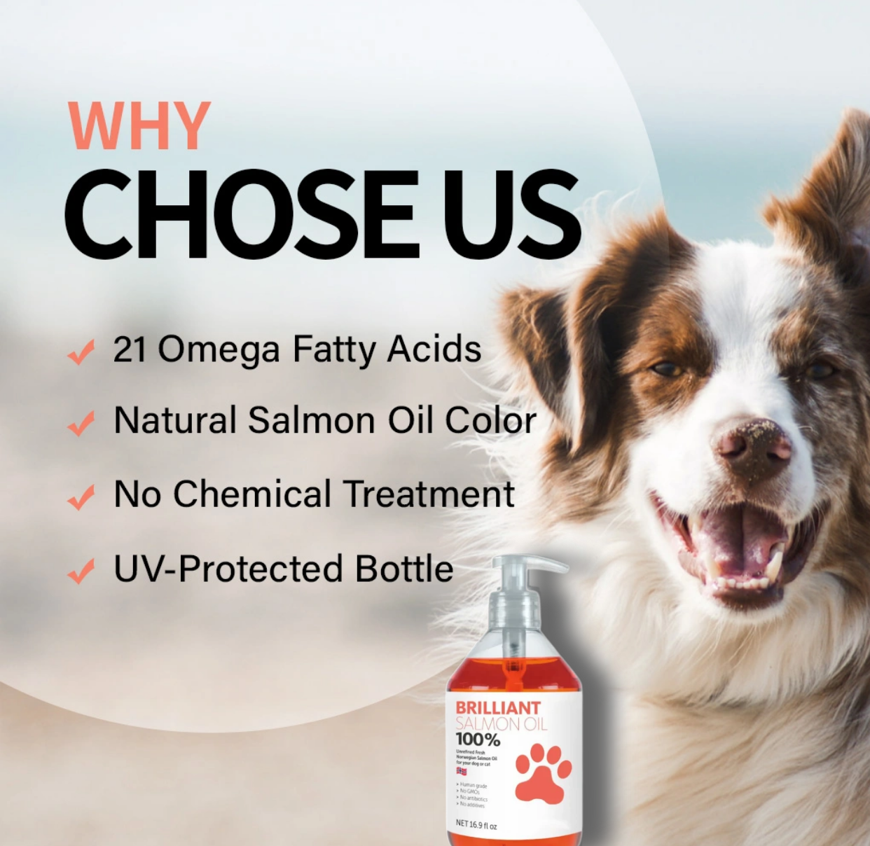 Norwegian salmon oil 300ml