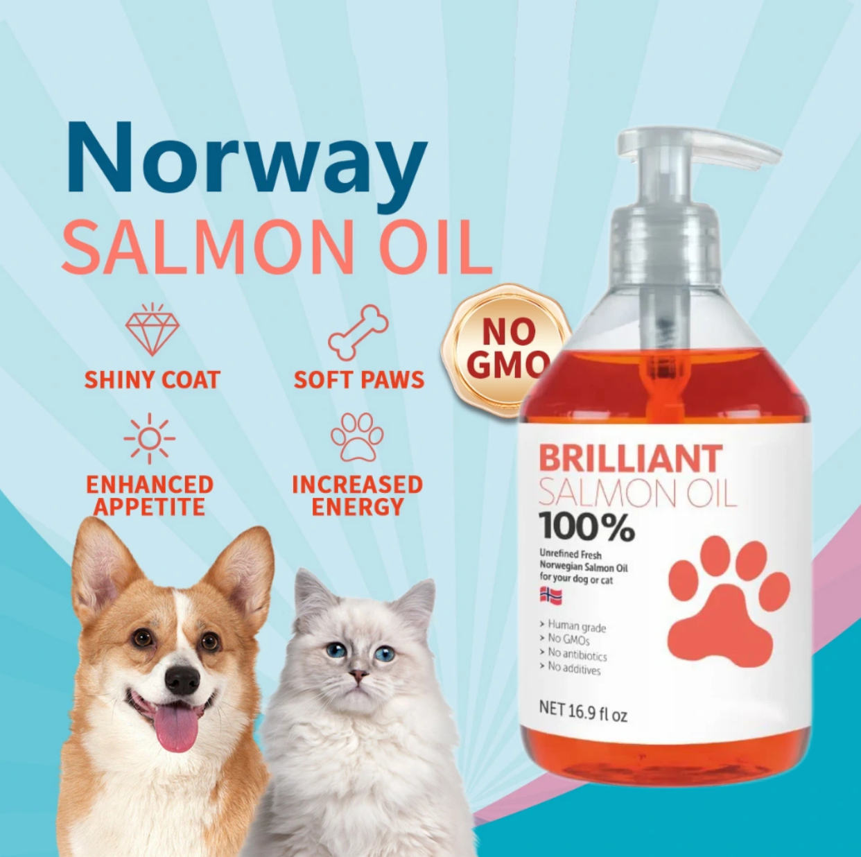 Norwegian salmon oil 300ml