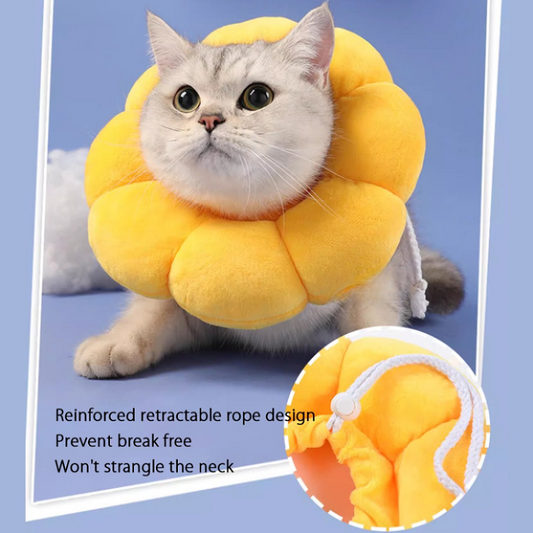 Adjustable Sunflower Recovery Collar