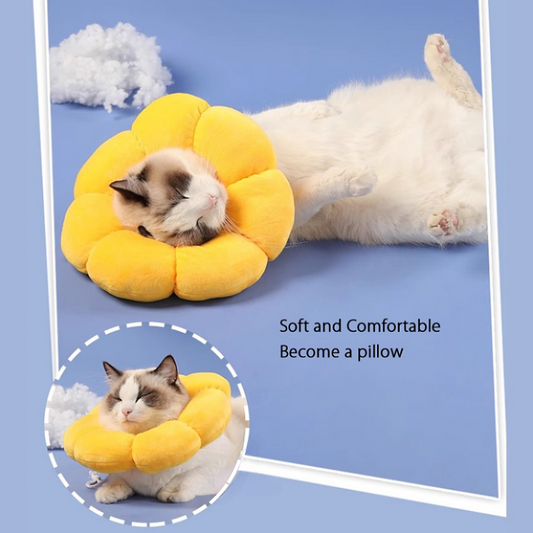 Adjustable Sunflower Recovery Collar
