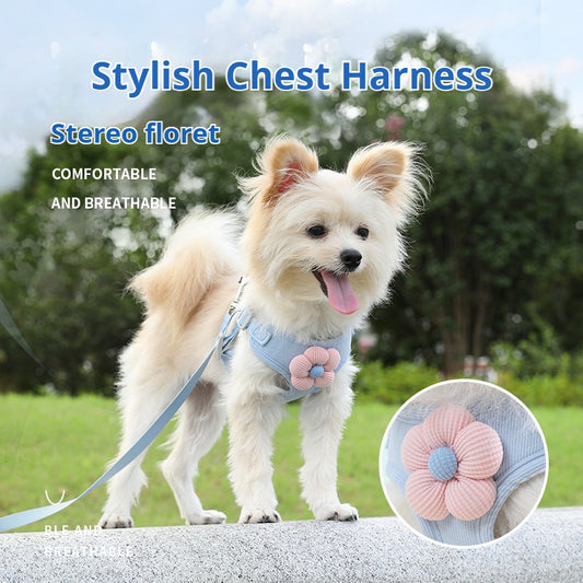 Floral Vest Harness & Leash