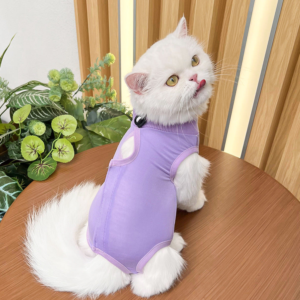 Cat Recovery Suit