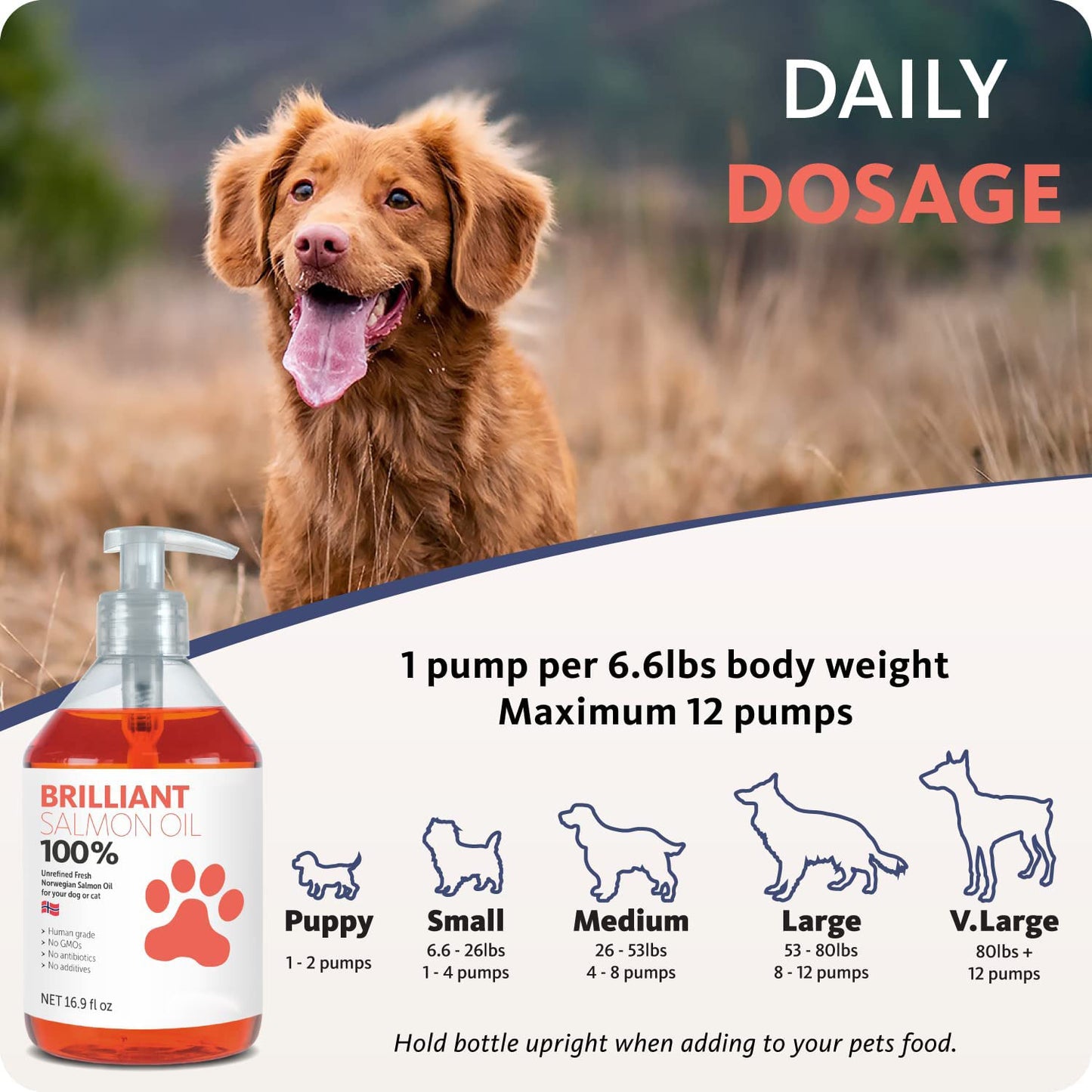 Norwegian salmon oil 300ml